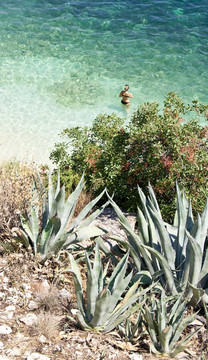 Agia Efimia海灘；Kefalonia