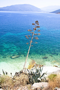 Agia Efimia海灘；Kefalonia