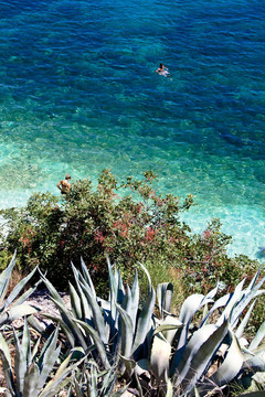 Agia Efimia海灘；Kefalonia