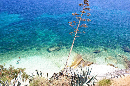 Agia Efimia海灘；Kefalonia