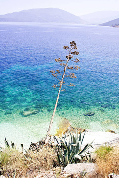 Agia Efimia海灘；Kefalonia
