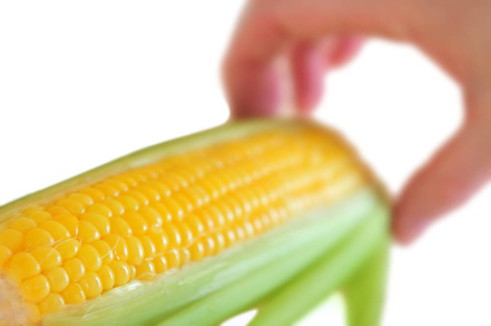 玉米棒