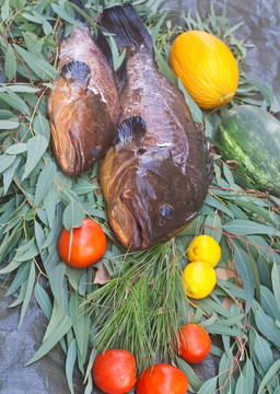 石斑魚類