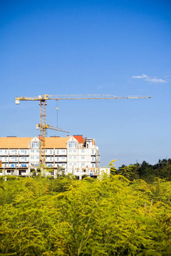 施工現(xiàn)場(chǎng)的生長(zhǎng)
