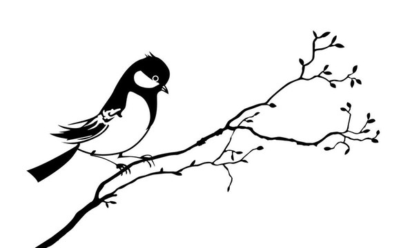 樹(shù)枝上鳥的剪影