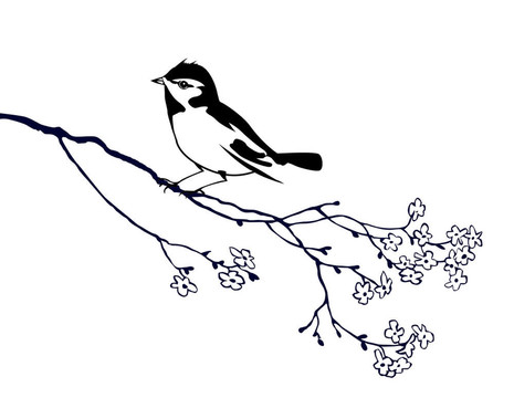 樹枝上鳥的剪影
