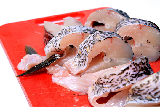 白底魚