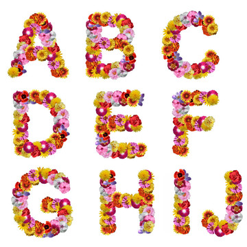 字母的花