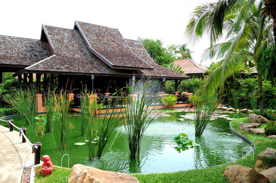 在豪華酒店的露天餐廳和綠色的池塘；Samui島；泰國