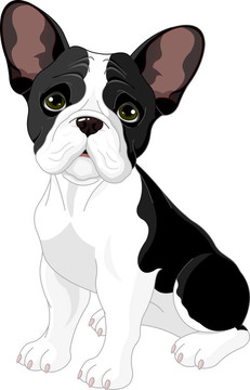 法國(guó)斗牛犬