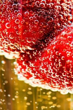 香檳中的Strawberry