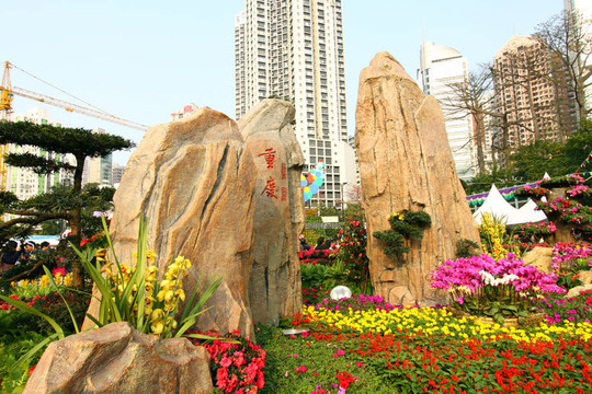 香港花卉展2011