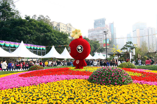 香港花卉展2011