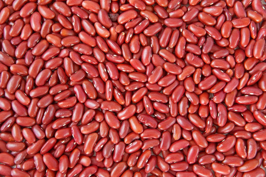 紅豆模式