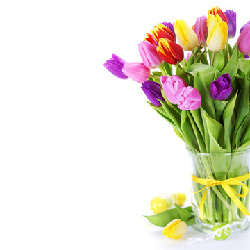 春天tulipswith復(fù)活節(jié)彩蛋孤立在白色背景