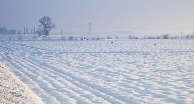 雪景