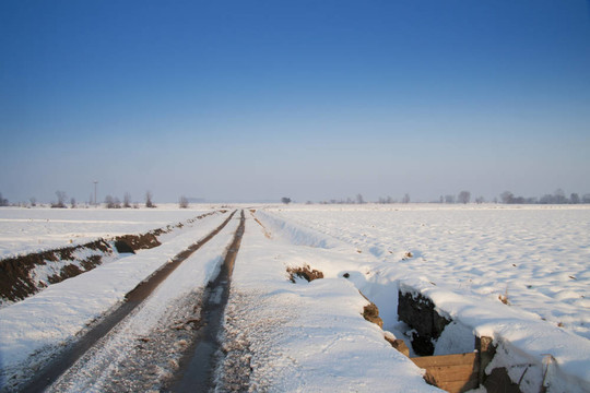 雪景