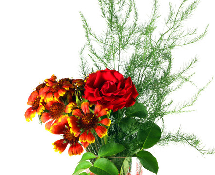 Gaillardia與紅玫瑰