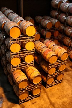 葡萄酒桶或缸
