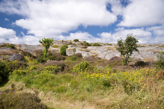 haellevikstrand
