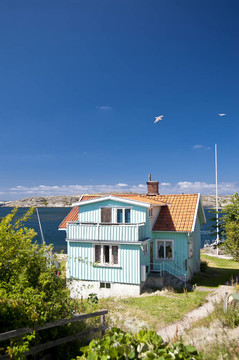 kaeringoen