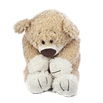 悲傷孤獨(dú)的Teddy Bear