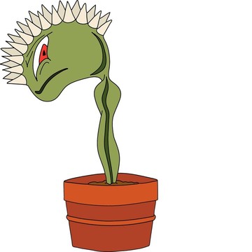 捕蠅草