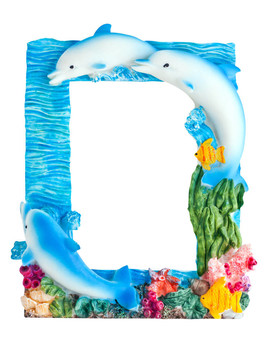 海豚相框