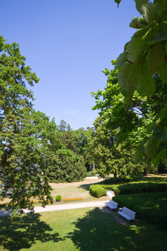 夏天的公園