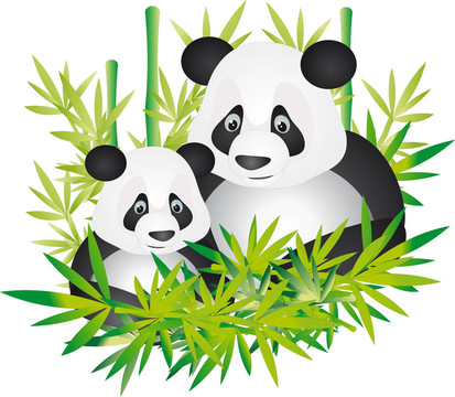 熊貓