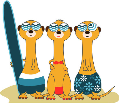 3 meercat沖浪