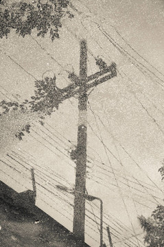 抽象電極