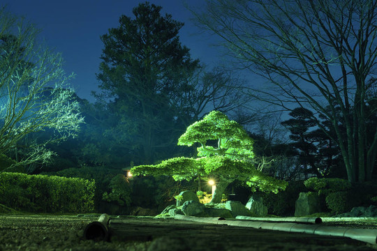 夜的花園