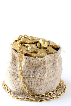 小金塊上的金塊