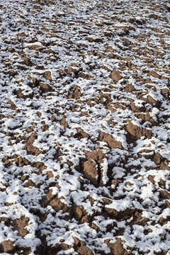 野外積雪。