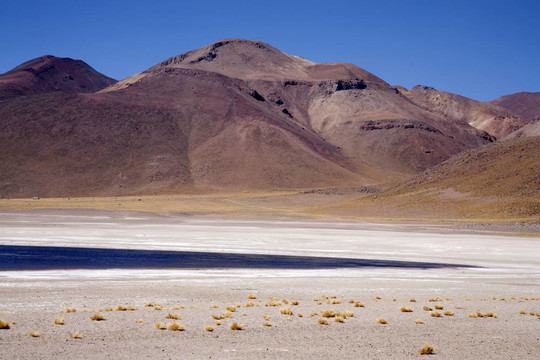 在阿塔卡馬沙漠附近的Lagunas Miscanti和Meniques的安第斯山脈
