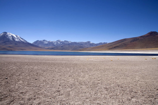 在阿塔卡馬沙漠附近的Lagunas Miscanti和Meniques的安第斯山脈