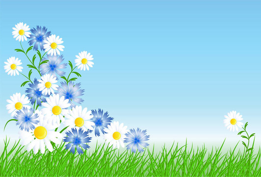 Cornflowers；綠色的草camomiles