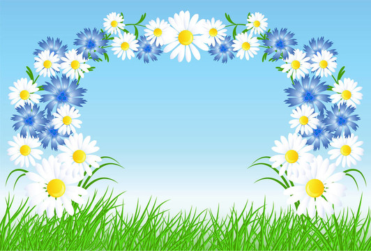 Cornflowers；綠色的草camomiles