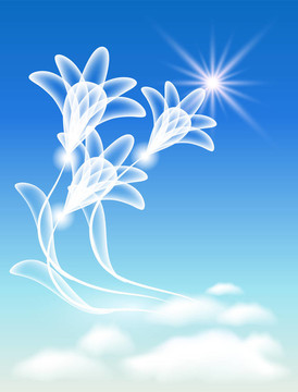 云中透明花