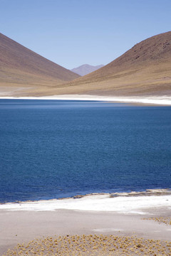 在阿塔卡馬沙漠附近的Lagunas Miscanti和Meniques的安第斯山脈