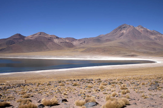 在阿塔卡馬沙漠附近的Lagunas Miscanti和Meniques的安第斯山脈