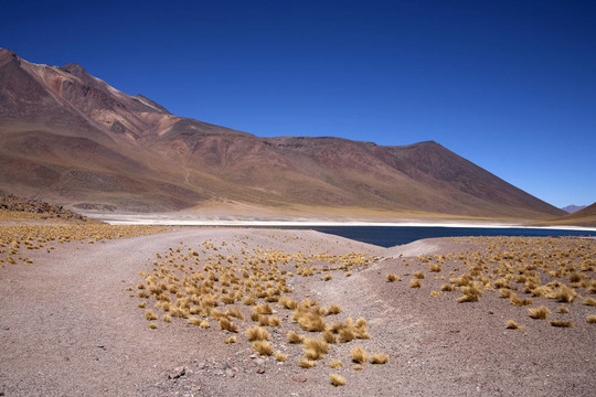在阿塔卡馬沙漠附近的Lagunas Miscanti和Meniques的安第斯山脈