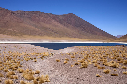 在阿塔卡馬沙漠附近的Lagunas Miscanti和Meniques的安第斯山脈