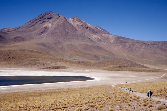 在阿塔卡馬沙漠附近的Lagunas Miscanti和Meniques的安第斯山脈