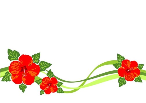 紅色的花和條