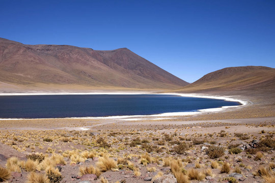 在阿塔卡馬沙漠附近的Lagunas Miscanti和Meniques的安第斯山脈