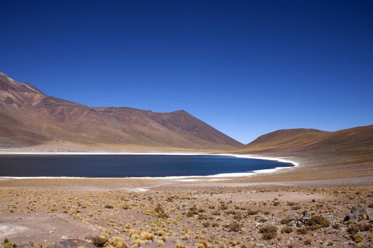 在阿塔卡馬沙漠附近的Lagunas Miscanti和Meniques的安第斯山脈