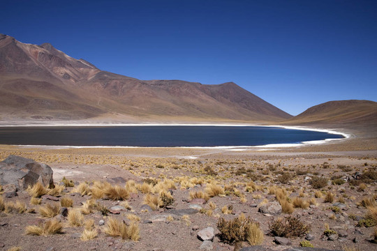 在阿塔卡馬沙漠附近的Lagunas Miscanti和Meniques的安第斯山脈