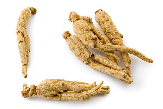 White Ginseng（Panax ginseng）